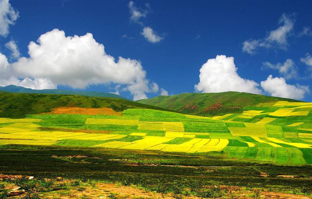 探寻神秘高原,青海的瑰丽篇章